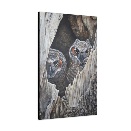 Horned Owls Portrait - Wall Art Print