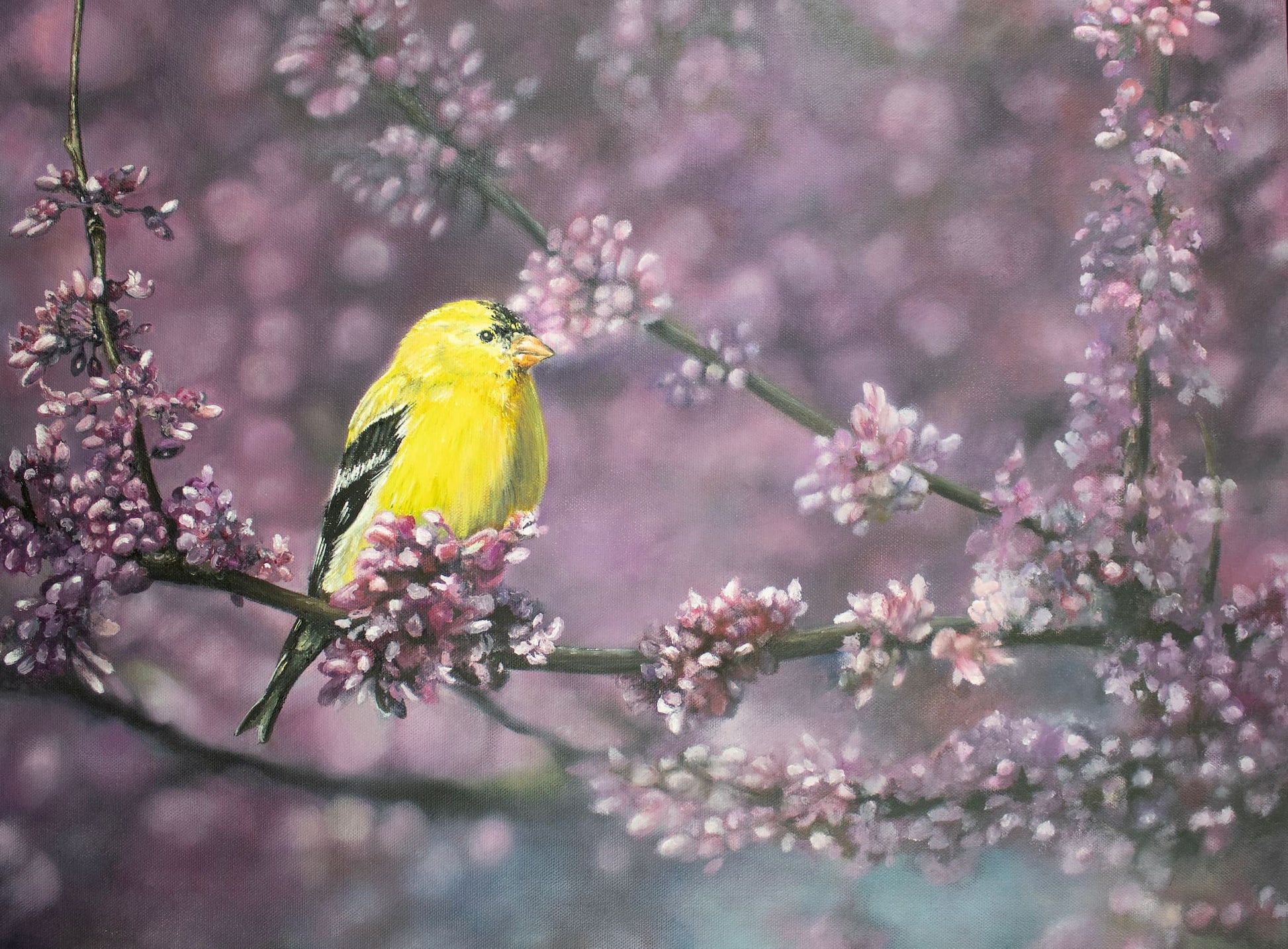 Oil Painting of Natrues Gold Goldfinch by Jerry PoynterFineArt.com