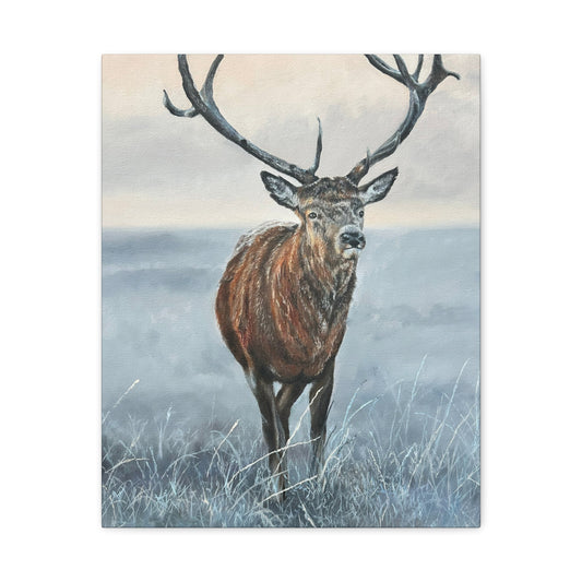 Majestic Stag Canvas Print — Matte Stretched Wall Art